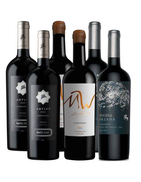 Pack 6 Vinos Carmenere Premium MW, Amplus y Orzada - 1