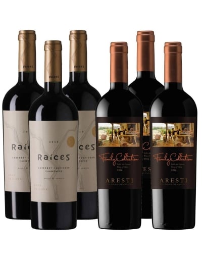 Pack 6 Mix Premium Family Collection y Gran Reserva Raíces Valle de Curicó - 1