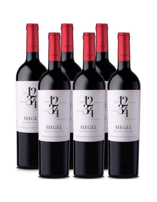 Pack 6 Ensamblaje, 1234, Viña Siegel