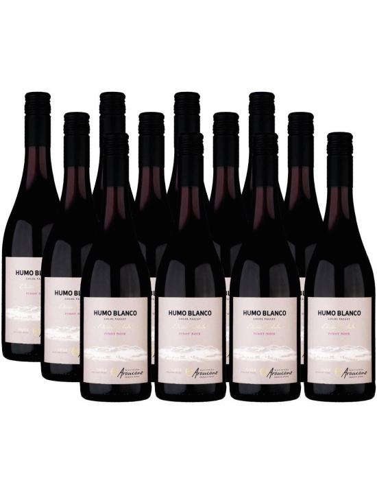 Pack 12 vinos Pinot Noir, Humo Blanco, Viña Francois Lurton