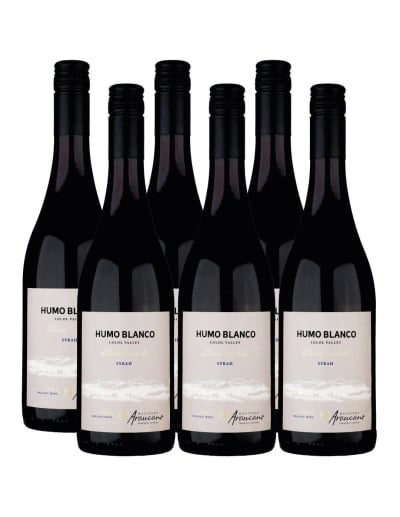 Pack 6 Syrah, Gran Reserva, Humo Blanco