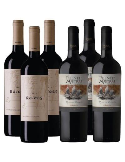 Pack 6 Vinos Puente Austral y Raices
