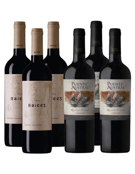 Pack 6 Vinos Puente Austral y Raices