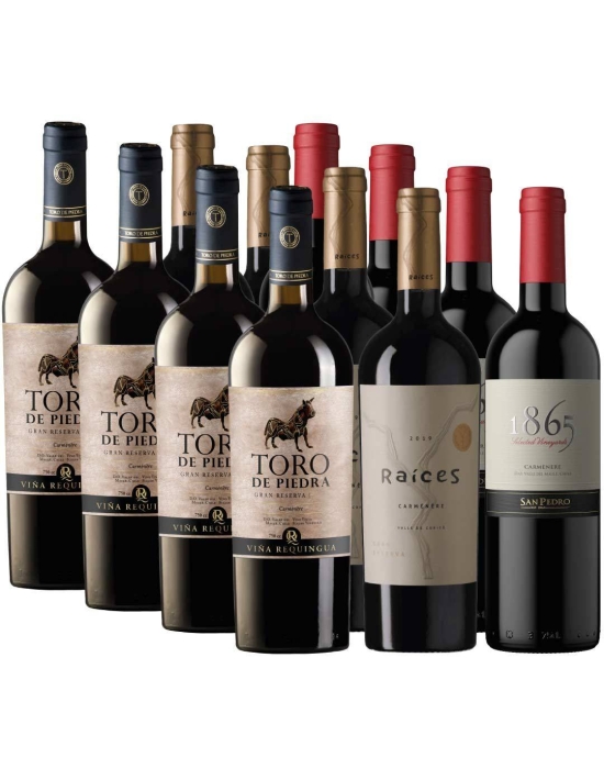 Pack 12 Mix Carmenere 1865, Toro de Piedra, las Pitras