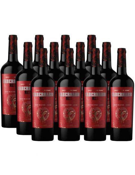 Pack 12 Red Blend Cabernario, Gran Reserva, Viña Santa Rita Santa Rita - 1