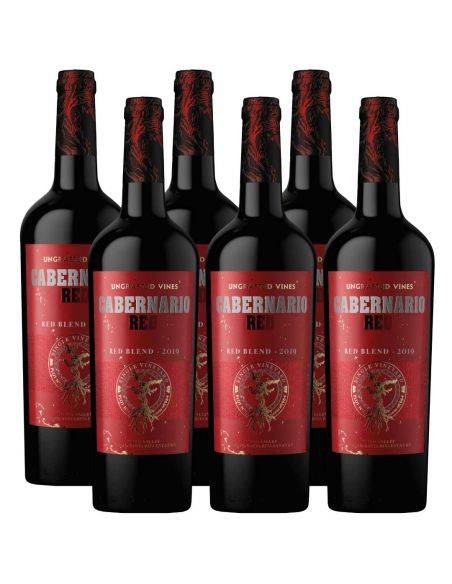 Pack 6 Red Blend Cabernario, Gran Reserva, Viña Santa Rita Santa Rita - 1