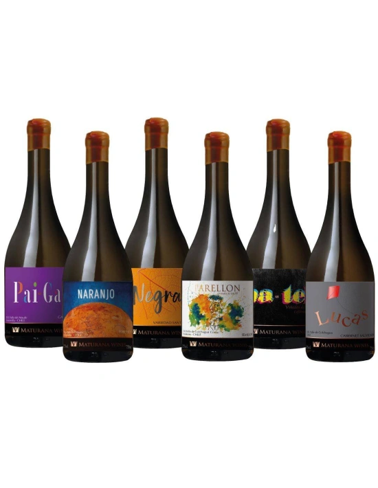 Pack 6 Vinos Mix, Maturana Wines, Premium