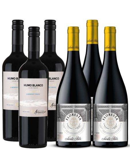 Pack 6 Cabernet Franc Francois Lurton y Santa Rita