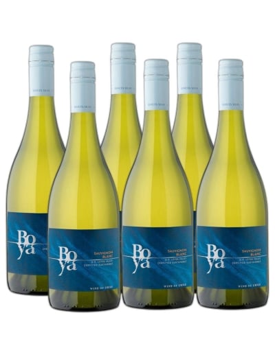 Pack 6 Sauvignon Blanc, Boya, Viña Garces Silva