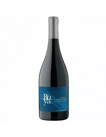 Syrah, Boya, Viña Garces Silva, Valle de Leyda