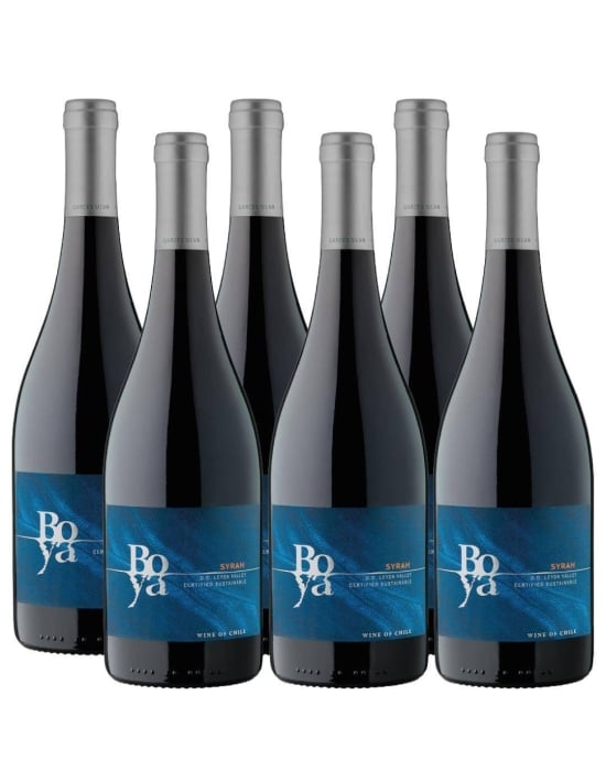 Pack 6 Syrah, Boya, Viña Garces Silva, Valle de Leyda