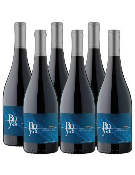 Pack 6 Syrah, Boya, Viña Garces Silva, Valle de Leyda