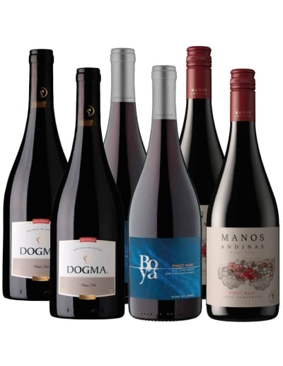 Pack 6 Pinot Noir Dogma, Boya y Manos Andinas