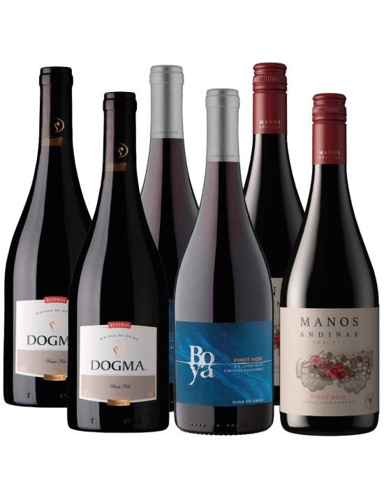 Pack 6 Pinot Noir Dogma, Boya y Manos Andinas