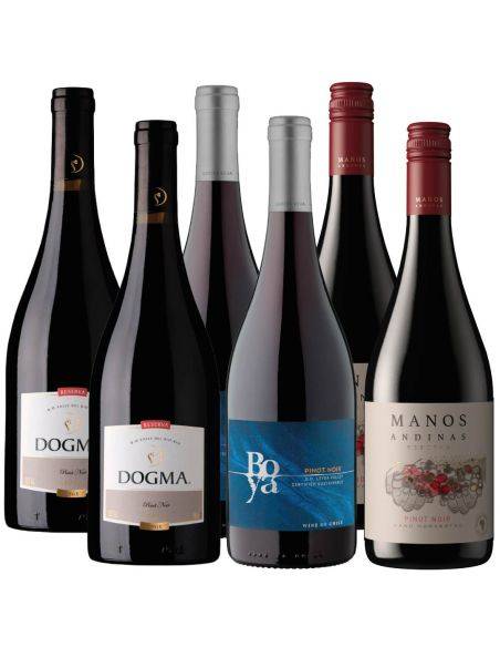Pack 6 Pinot Noir Dogma, Boya y Manos Andinas