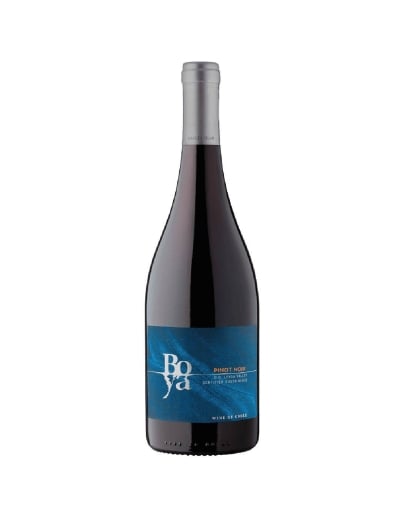Pinot Noir, Boya, Viña Garces Silva, Valle de Leyda