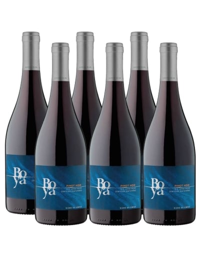 Pack 6 Pinot Noir, Boya,Viña Garces Silva