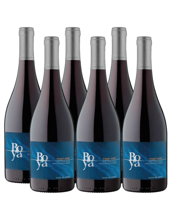 Pack 6 Pinot Noir, Boya,Viña Garces Silva