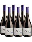 Pack 6 Syrah, Amayna, Viña Garces Silva, Valle de San Antonio