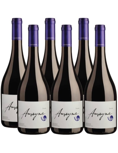 Pack 6 Syrah, Viña Garces Silva, Amayna, Valle de San Antonio