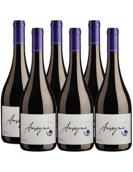 Pack 6 Syrah, Viña Garces Silva, Amayna, Valle de San Antonio