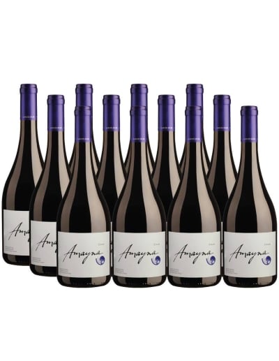 Pack 12 Syrah, Viña Garces Silva, Amayna