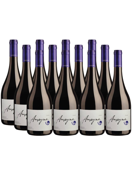 Pack 12 Syrah, Viña Garces Silva, Amayna