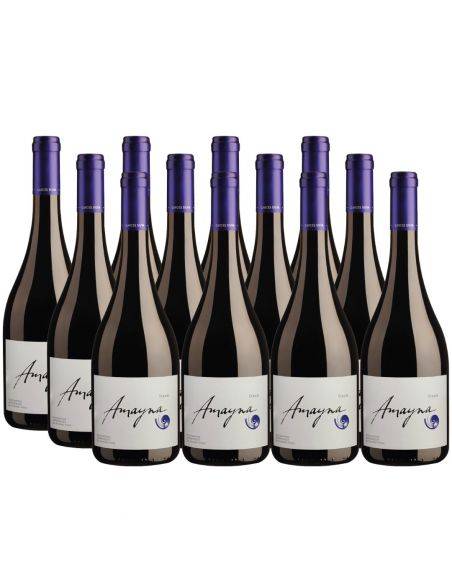 Pack 12 Syrah, Viña Garces Silva, Amayna