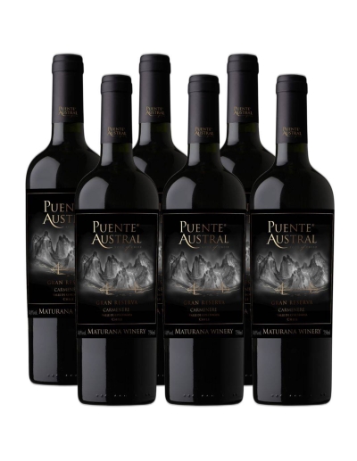 Pack 6 Carmenere, Gran Reserva, Viña Puente Austral, Valle de Colchagua Maturana Wines - 1