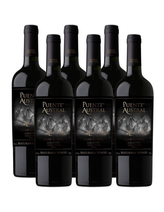 Pack 6 Carmenere, Gran Reserva, Viña Puente Austral, Valle de Colchagua Maturana Wines - 1