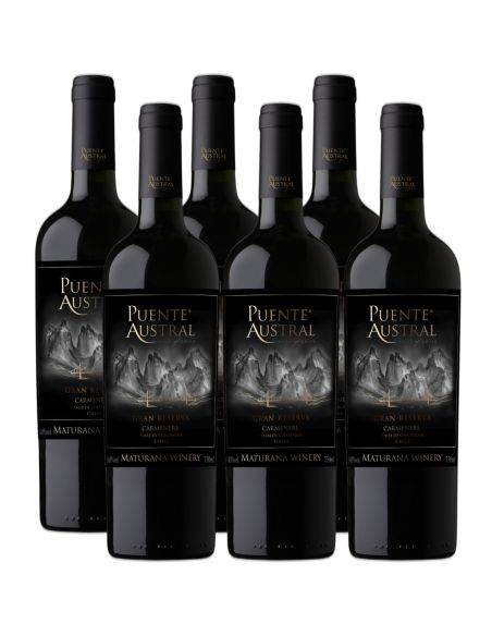 Pack 6 Carmenere, Gran Reserva, Viña Puente Austral, Valle de Colchagua Maturana Wines - 1
