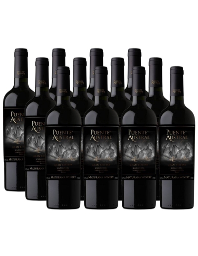 Pack 12 Carmenere, Gran Reserva, Viña Puente Austral, Valle de Colchagua