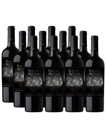 Pack 12 Carmenere, Gran Reserva, Viña Puente Austral, Valle de Colchagua