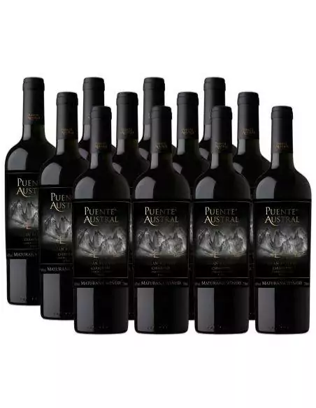Pack 12 Carmenere, Gran Reserva, Viña Puente Austral, Valle de Colchagua