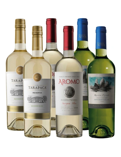 Pack mix 6 vinos Sauvignon Blanc Puente Austral, Aromo, Tarapaca