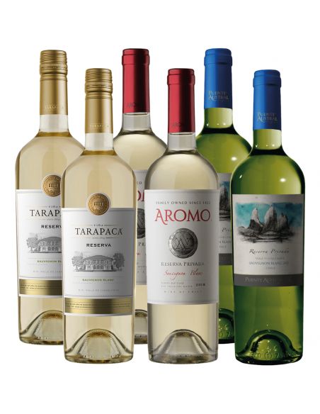 Pack mix 6 vinos Sauvignon Blanc Puente Austral, Aromo, Tarapaca
