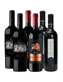 Pack vinos Mix 6 Puente Austral, Bestia Negra, El Encanto