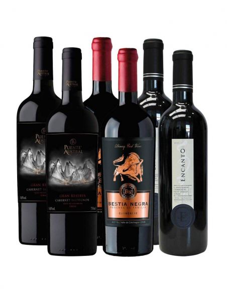 Pack vinos Mix 6 Puente Austral, Bestia Negra, El Encanto