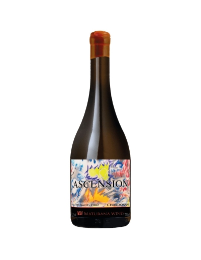 Chardonnay, Premium, Ascensión, Maturana Wines