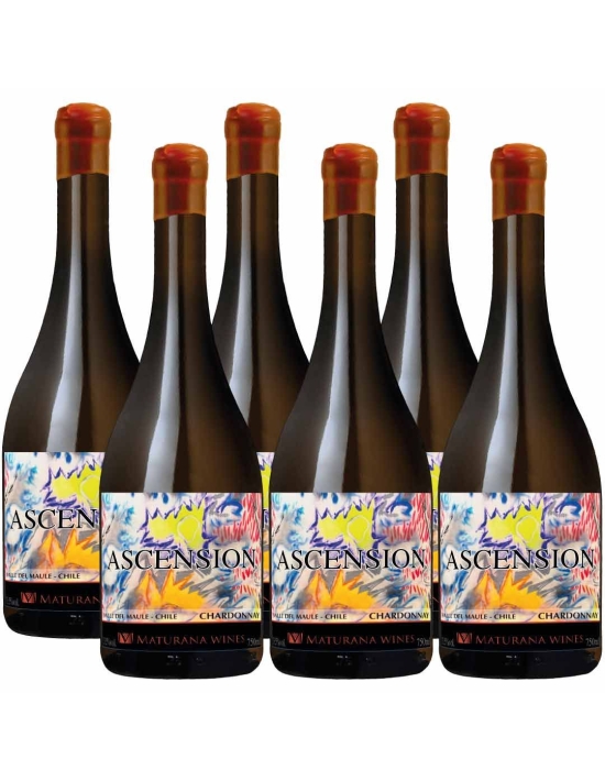 Pack 6 Chardonnay, Premium, Ascensión, Maturana Wines