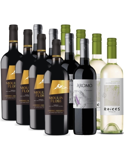 Pack 12 Botellas Raices, Moulin Floss, El Aromo