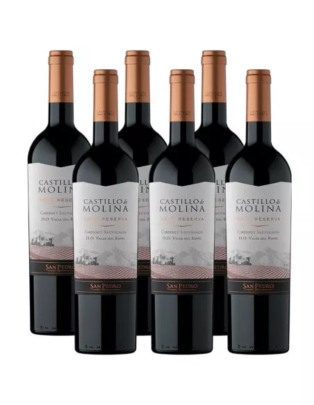 Pack 6 Cabernet Sauvignon, Gran Reserva, Castillo de Molina, Viña San Pedro