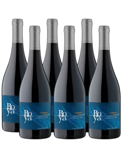 Pack 6 Cabernet Franc Boya, Viña Garcés Silva