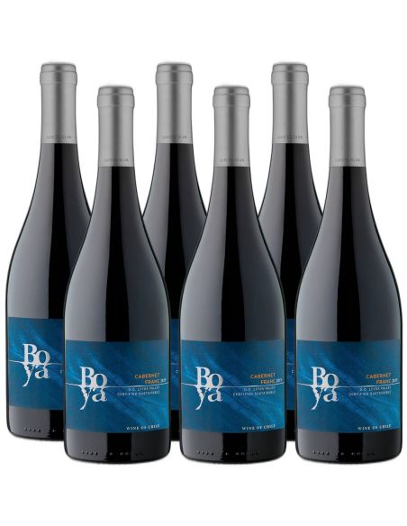 Pack 6 Cabernet Franc Boya, Viña Garcés Silva