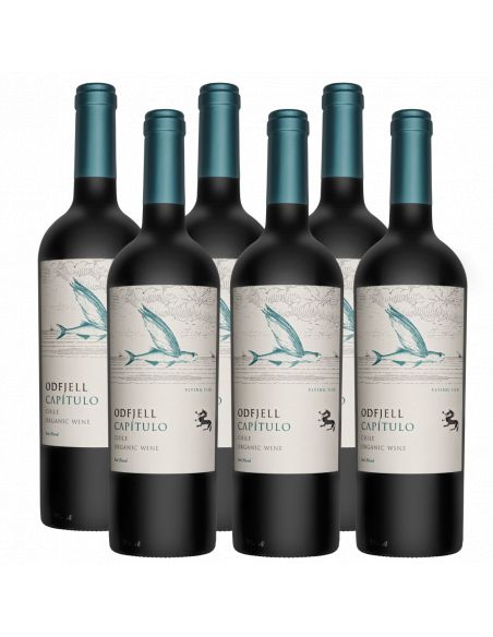 Pack 6 Ensamblaje, Gran Reserva, Flying Fish Capítulo, Viña Odfjell