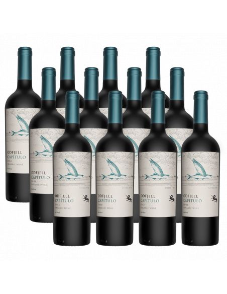 Pack 12 Ensamblaje, Gran Reserva, Flying Fish Capítulo, Viña Odfjell