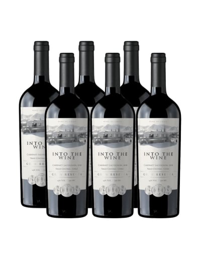 Increíble vino de exportación Ensamblaje, Gran Reserva, Into the Wine en Oferta!