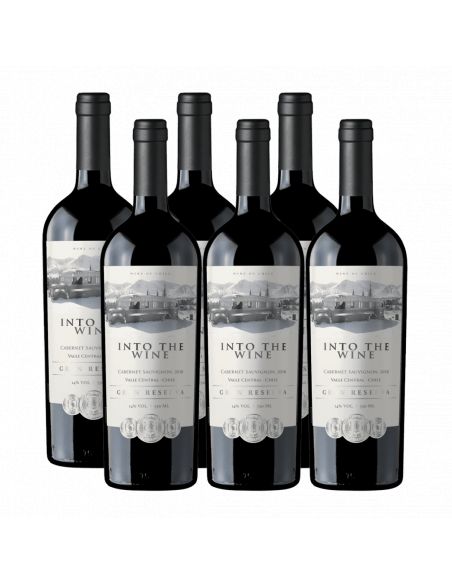 Increíble vino de exportación Ensamblaje, Gran Reserva, Into the Wine en Oferta!