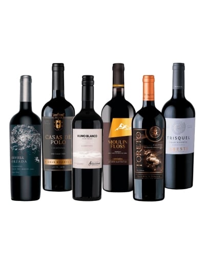 Pack 6 Descubre Carmenere a precio de Liquidación