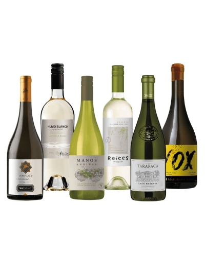 Los Mejores Pack Mix de Vinos Premium en Oferta con Despacho Gratis!